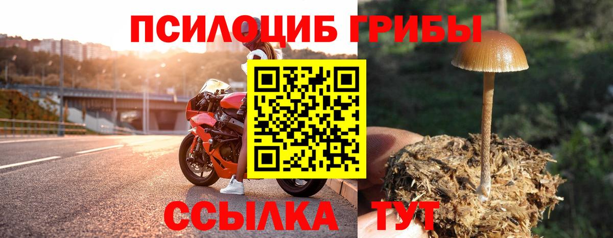 Салават  Галлюциногенные грибы Cubensis  наркотики  Вход с VPN  Псилоцибиновые грибы MAGIC MUSHROOMS 